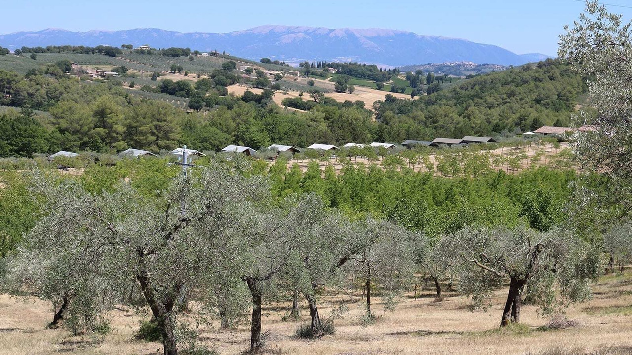 Photo of Outdoor in Bevagna