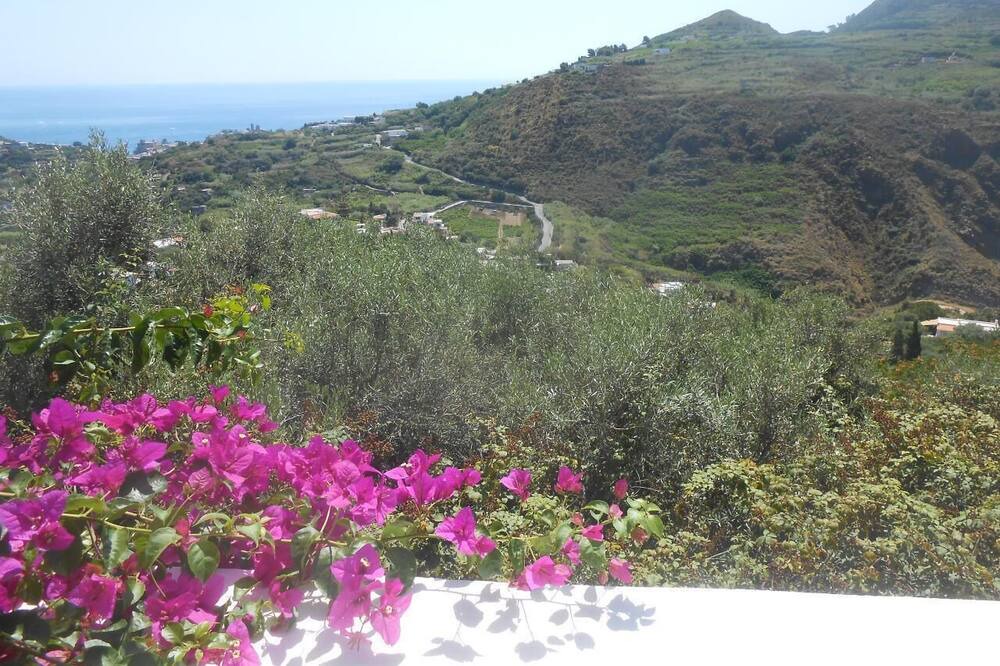 Photo of Others in Lipari
