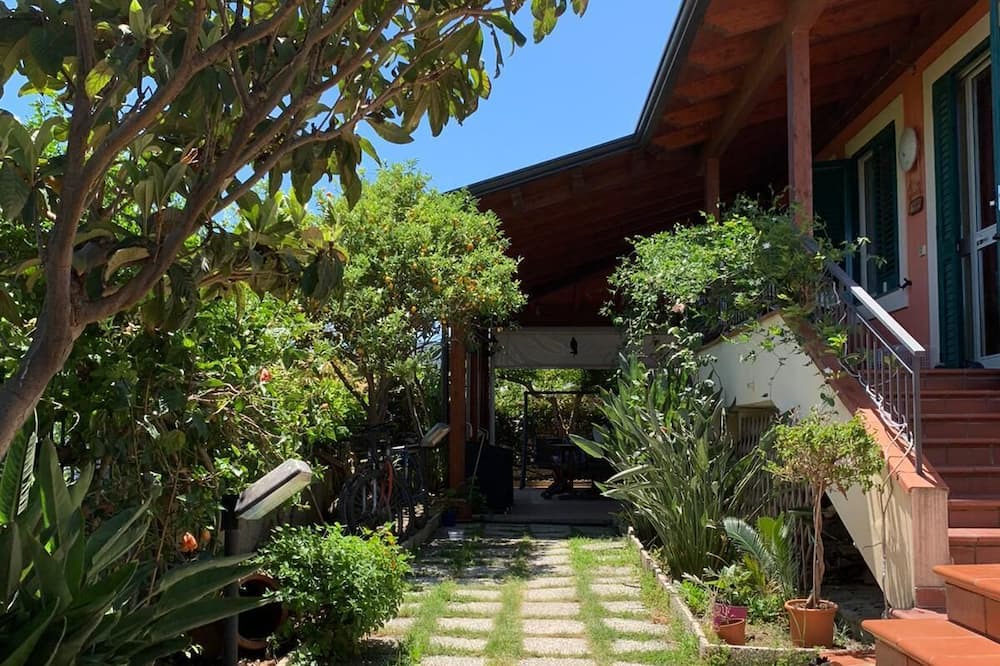 Photo of Outdoor in Patti