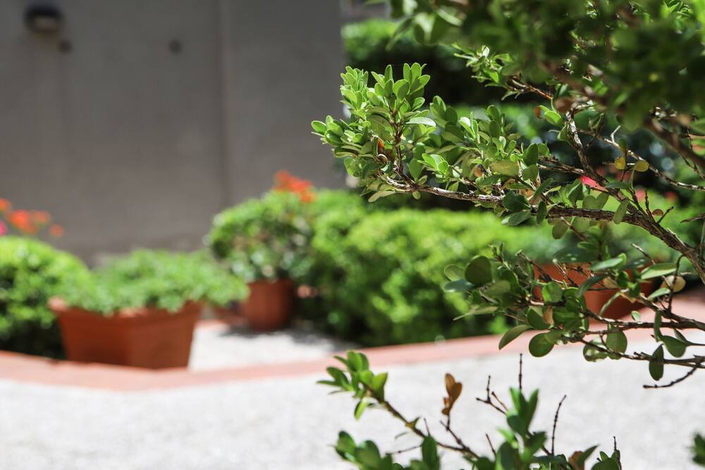 Photo of Outdoor in Chiaia