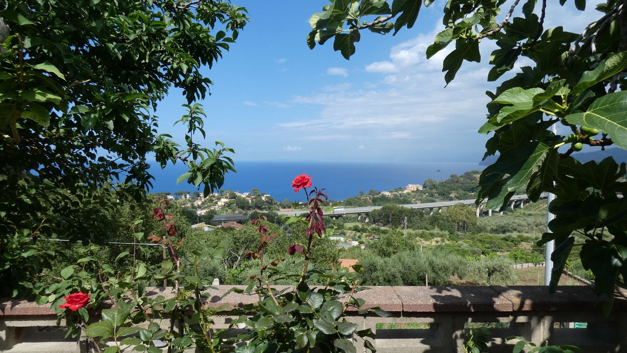 Photo of Outdoor in Gioiosa Marea