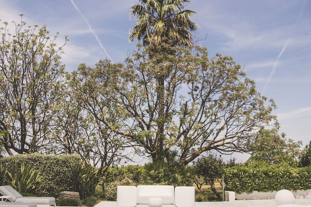 Photo of Outdoor in Partinico
