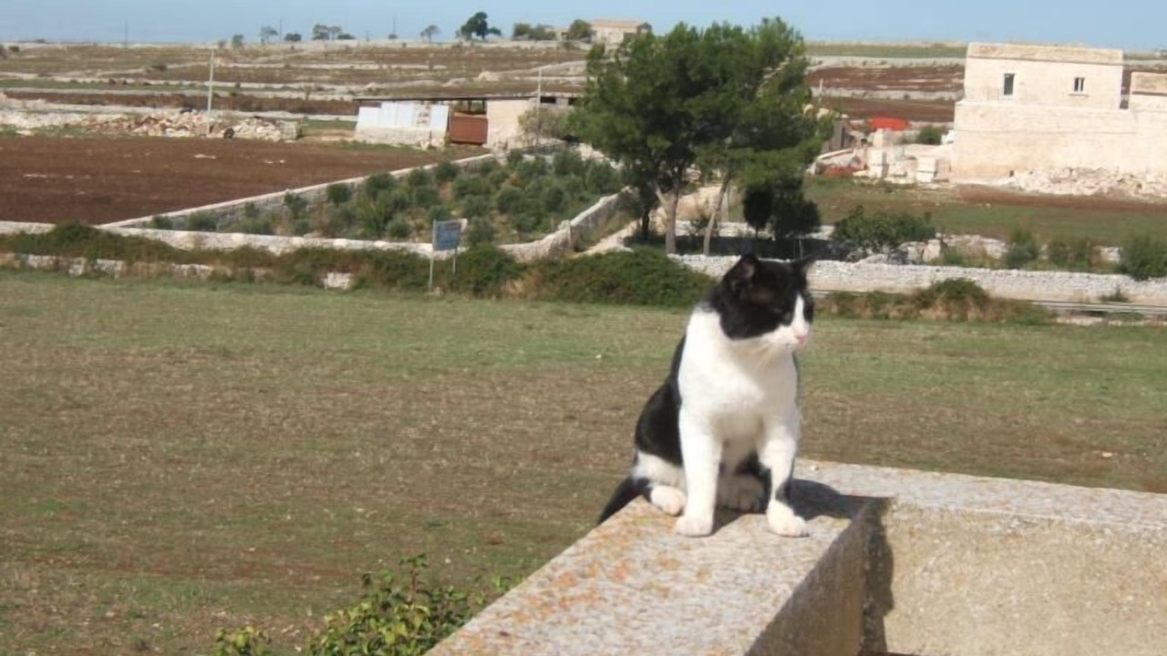 Photo of Outdoor in Tresauro