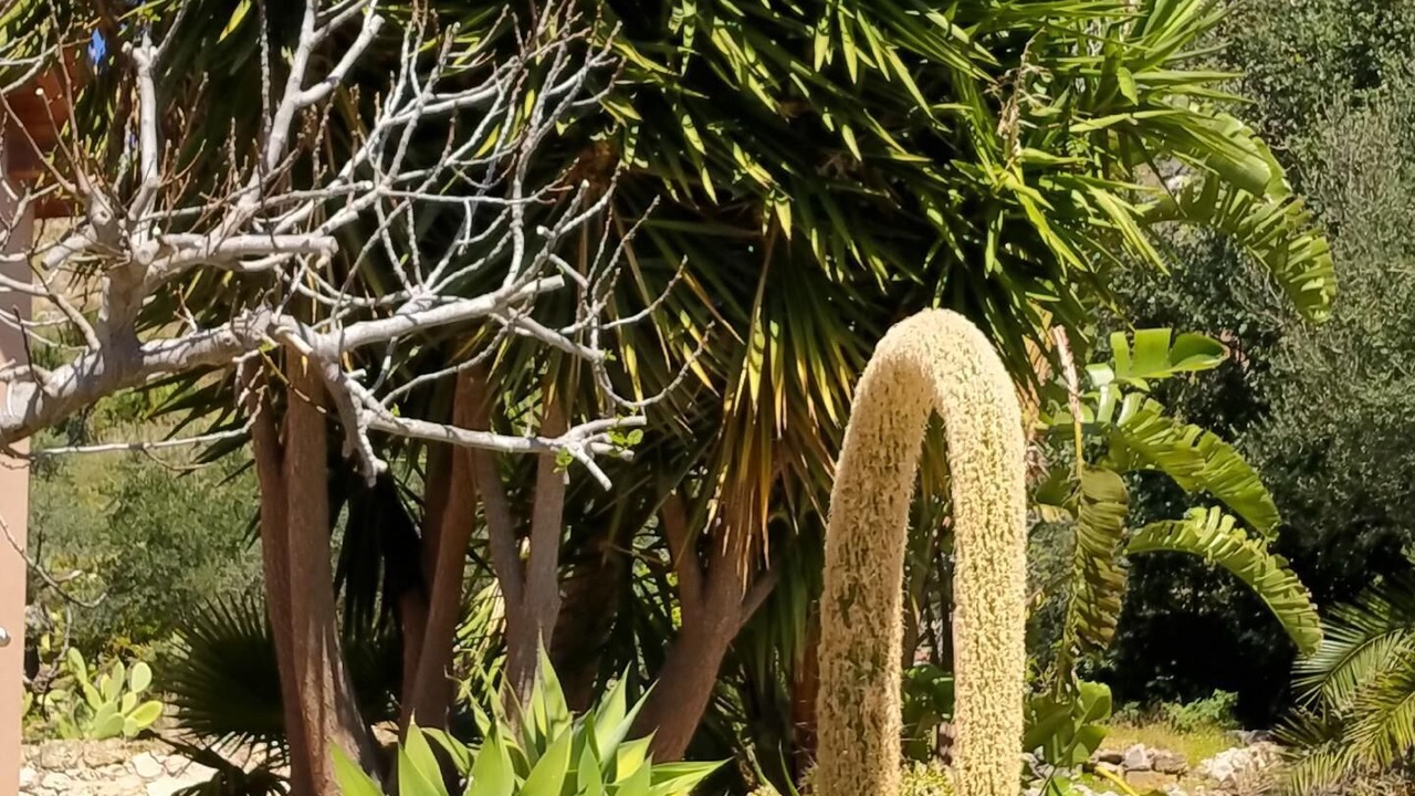 Photo of Outdoor in Porticello