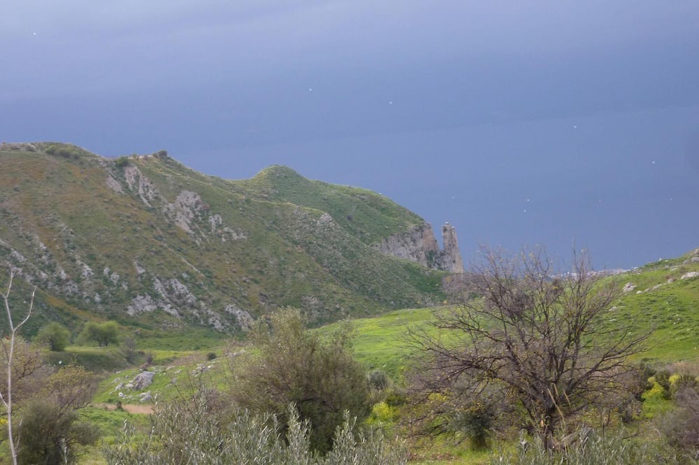 Photo of Others in Motta San Giovanni