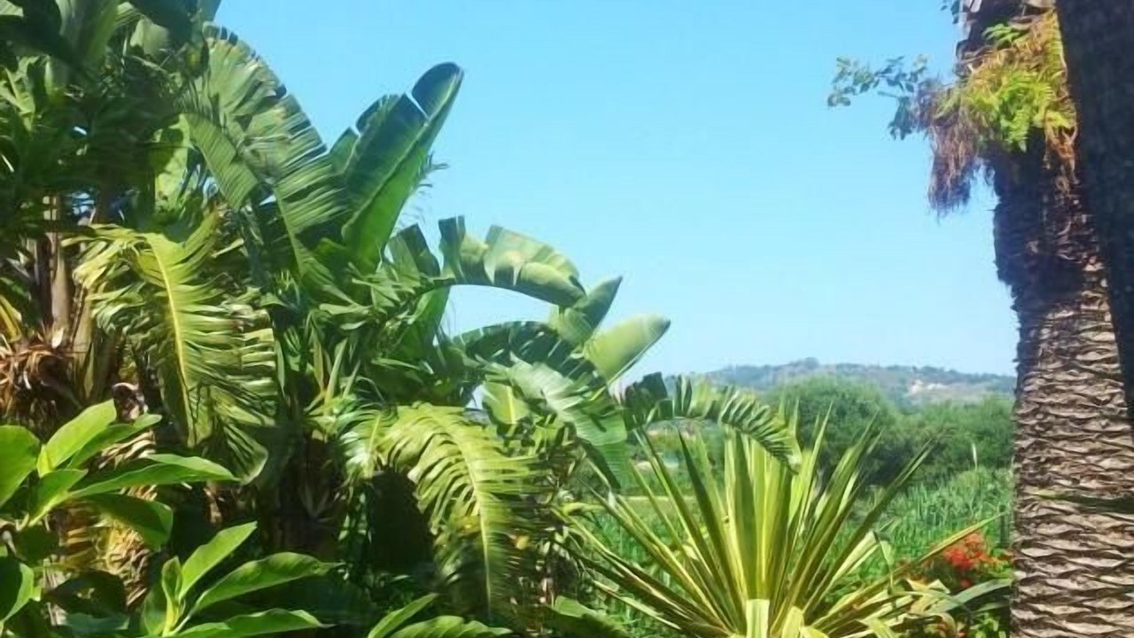 Photo of Outdoor in San Nicolo