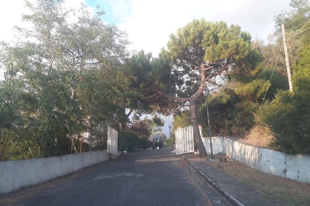 Photo of Others in Scalea