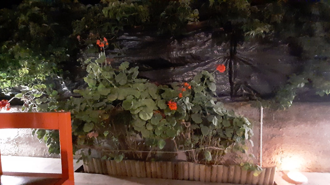 Photo of Outdoor in Vaccarizzo