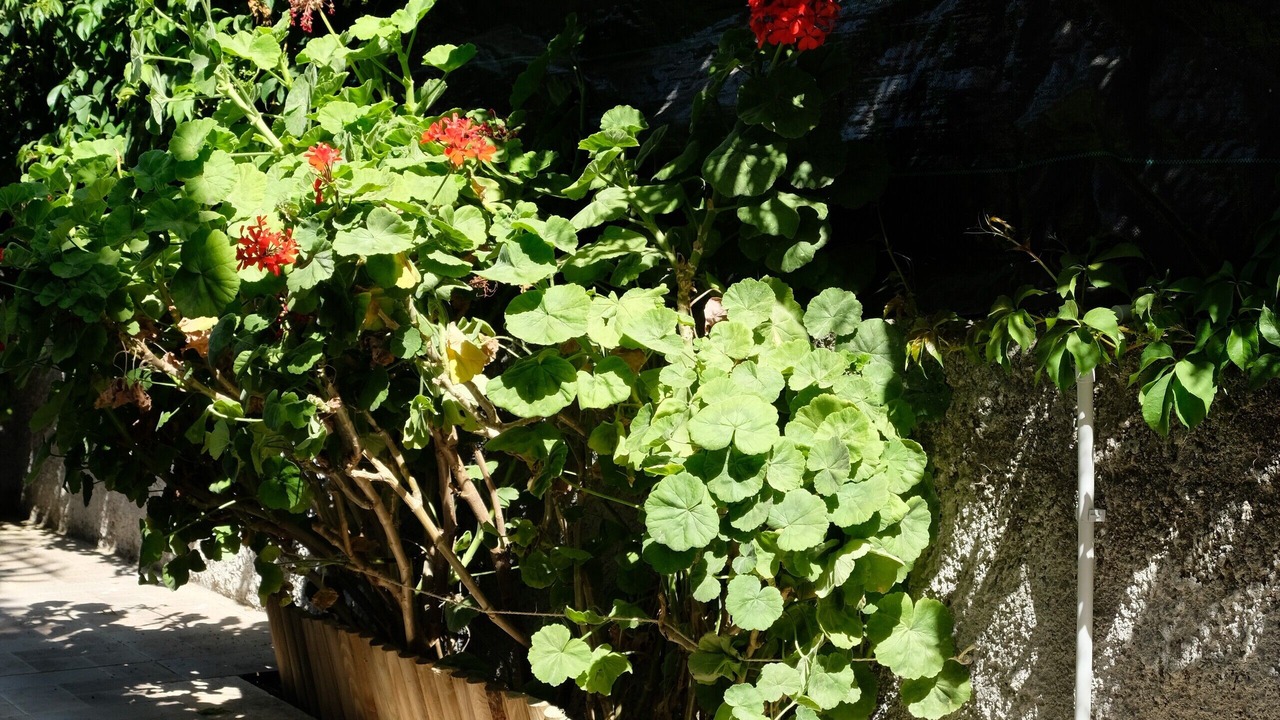Photo of Outdoor in Vaccarizzo