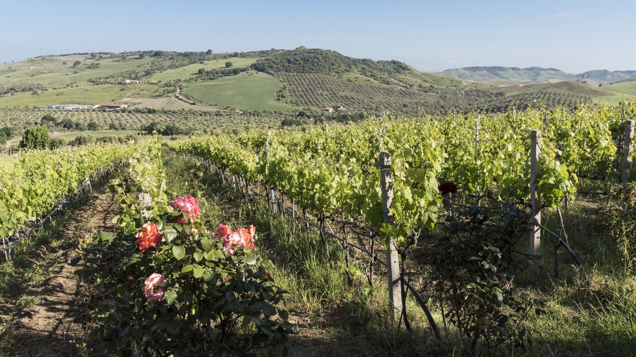Photo of Outdoor in Strongoli