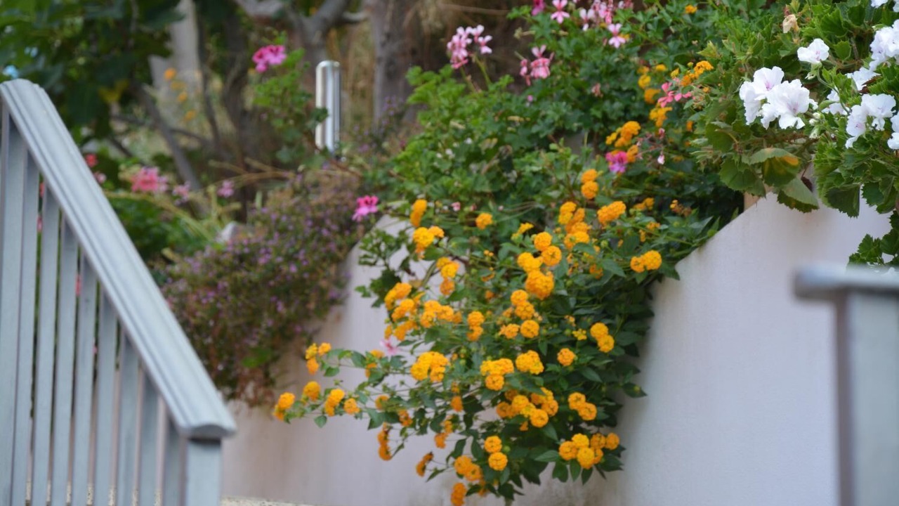 Photo of Outdoor in Paola