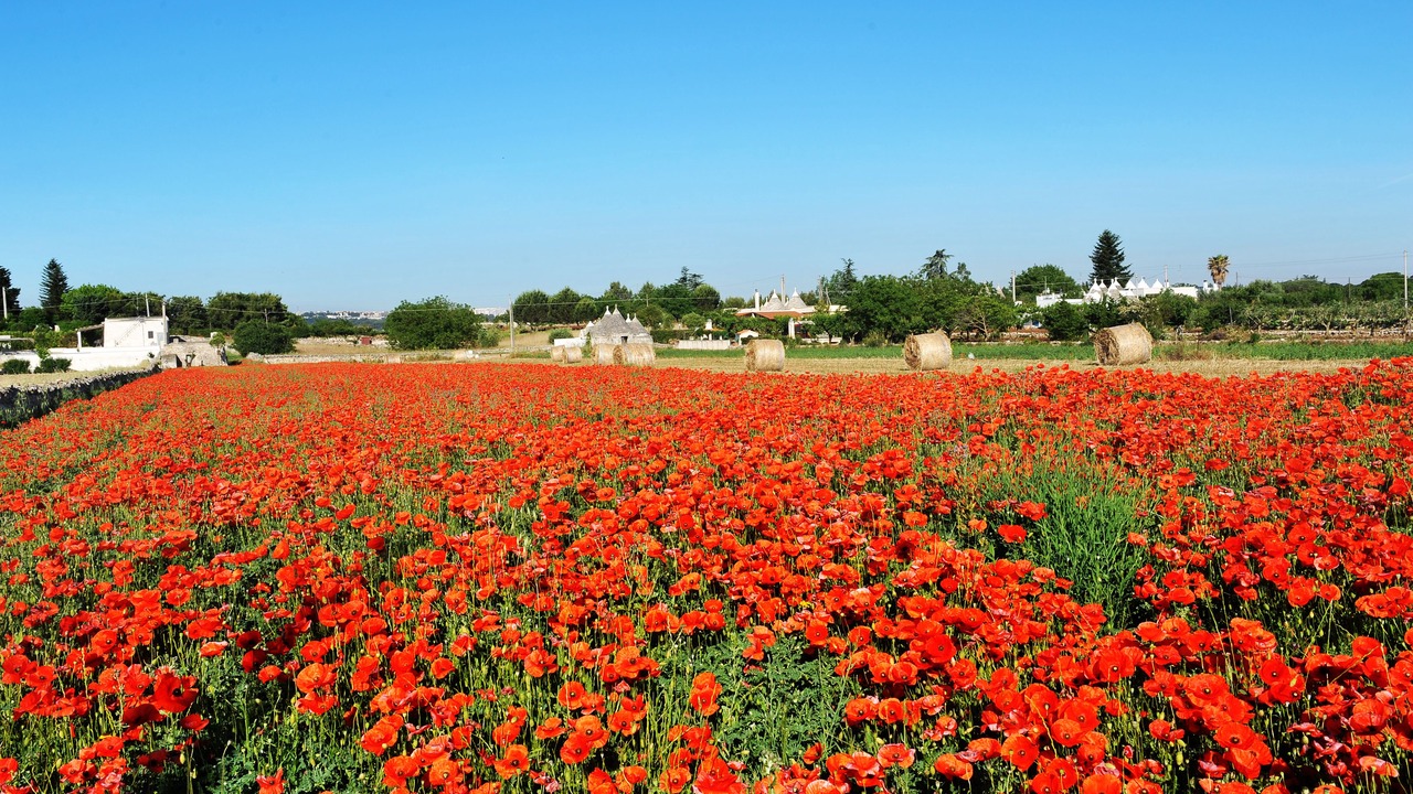 Photo of Outdoor in Torre Canne