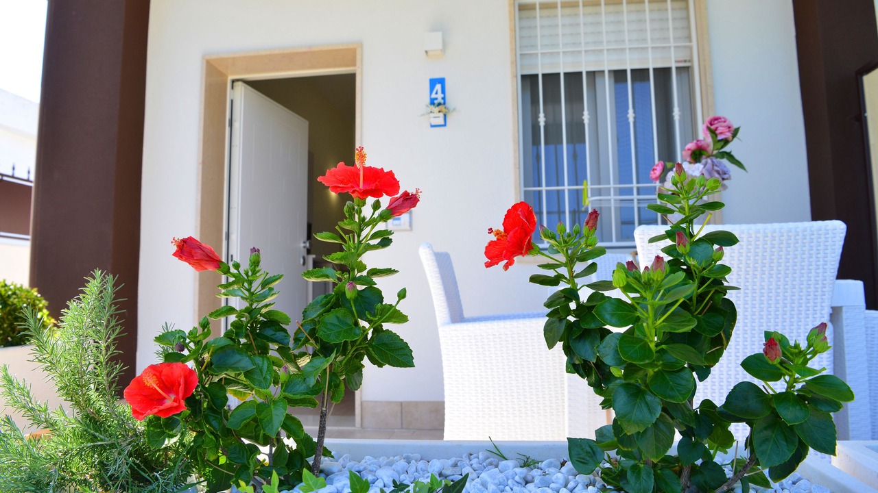 Photo of Outdoor in Torre Canne