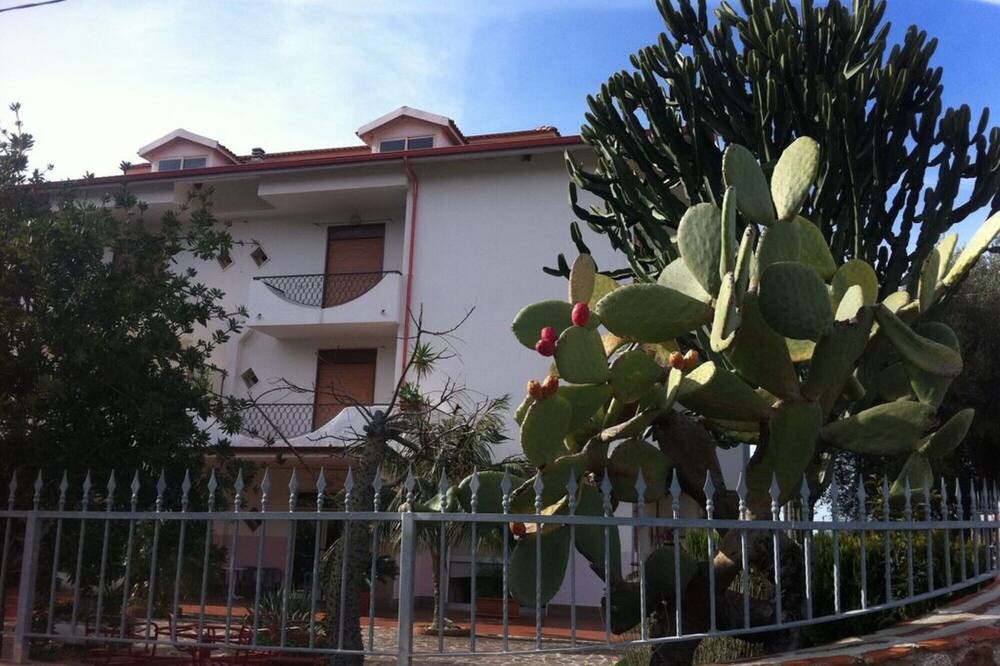 Photo of Outdoor in Coccorino