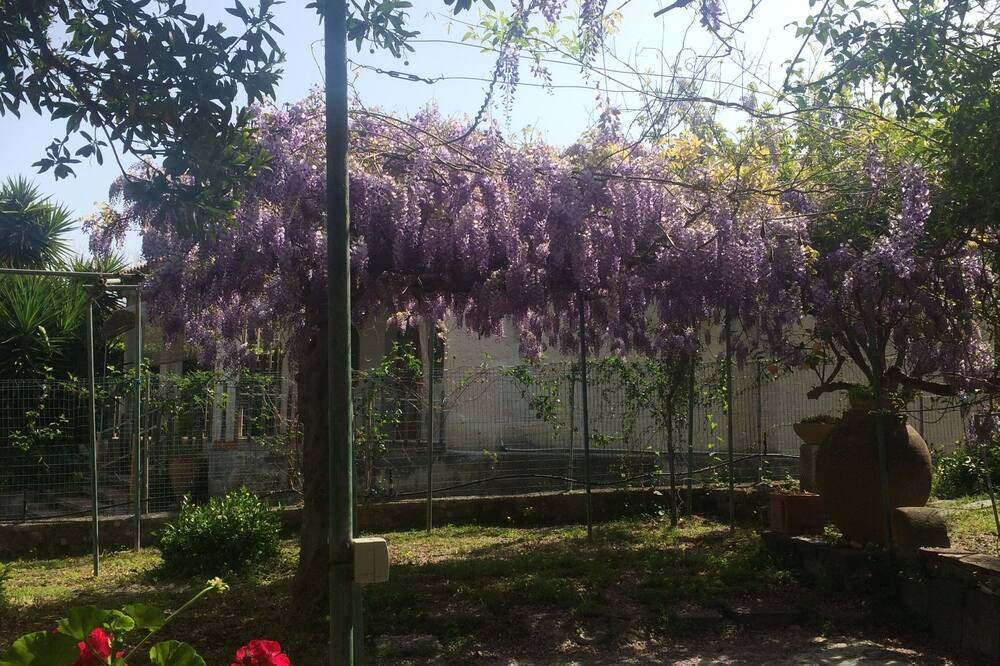 Photo of Outdoor in Costa Saracena-Castelluccio