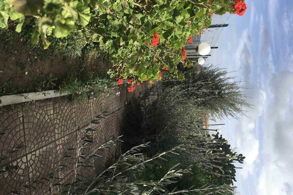 Photo of Outdoor in Misilmeri