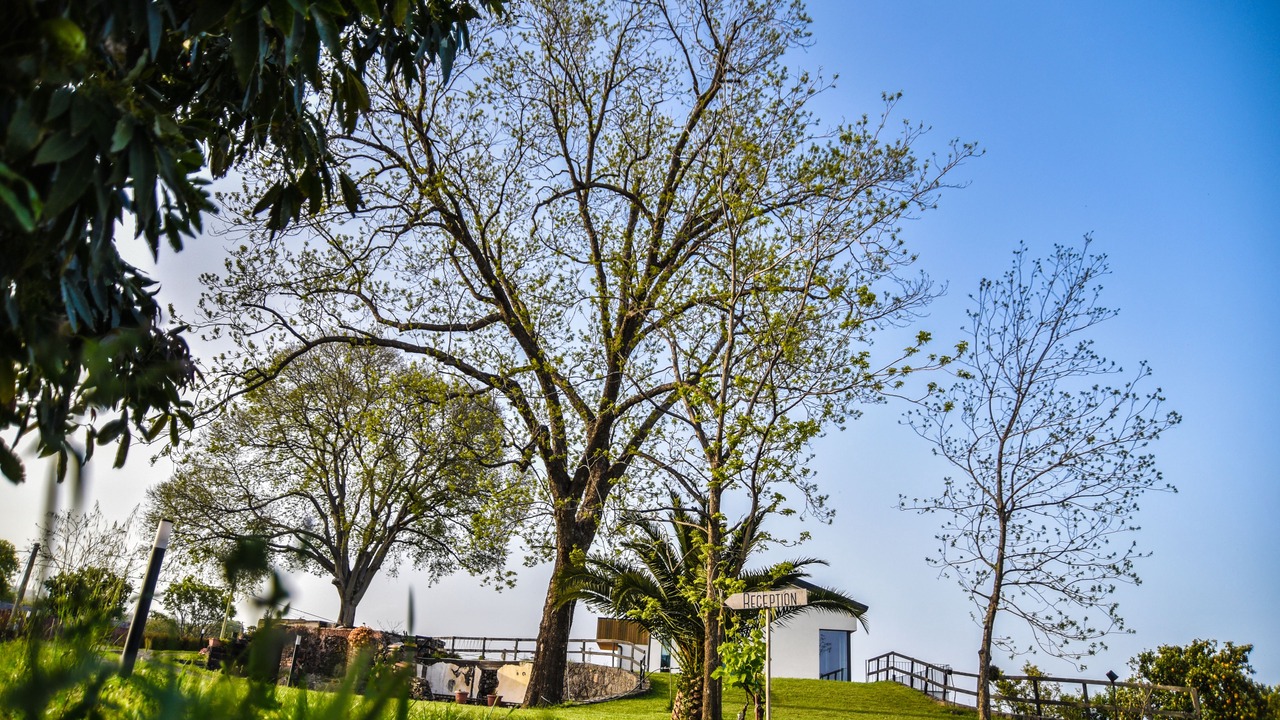Photo of Outdoor in Mascali