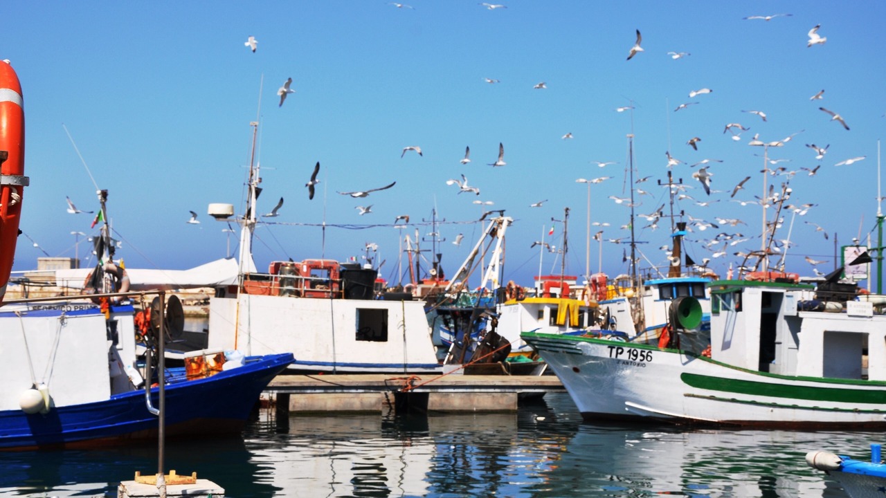 Photo of Others in Trapani