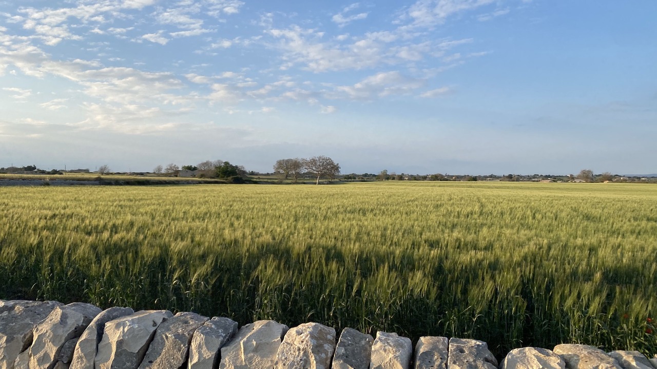 Photo of Outdoor in Cannizzara
