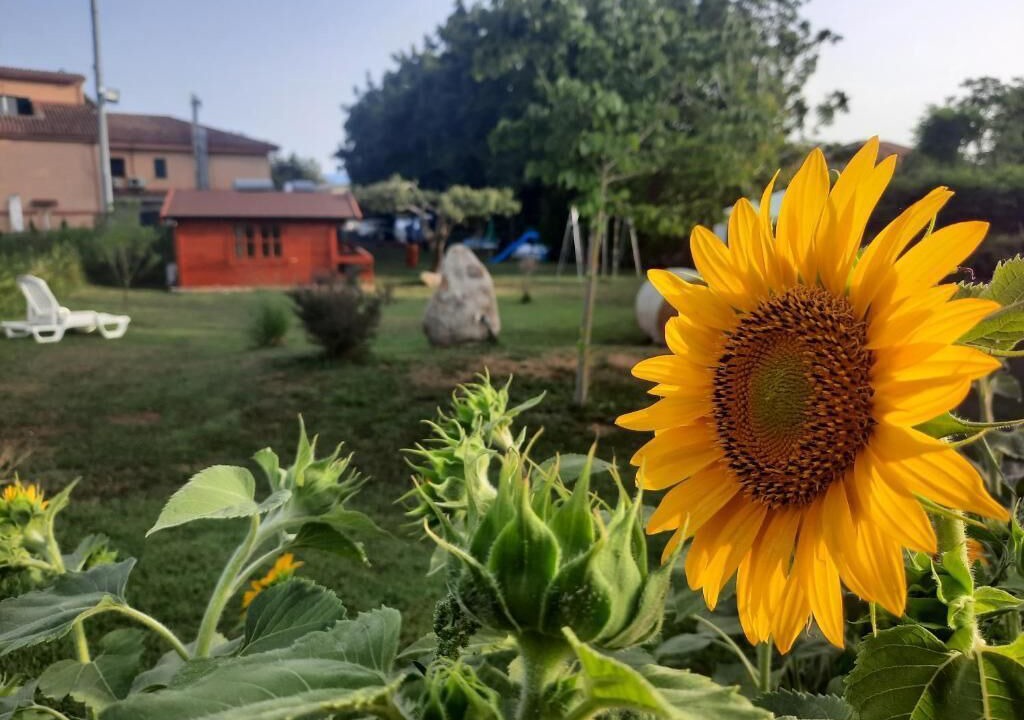 Photo of Outdoor in Joppolo