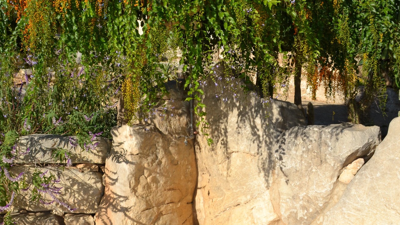 Photo of Outdoor in Casa Papa