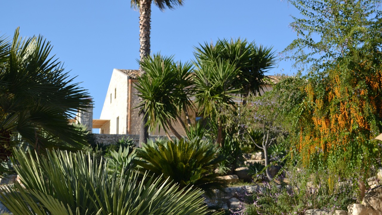 Photo of Outdoor in Casa Papa
