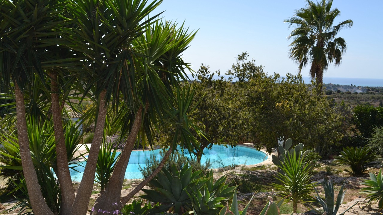 Photo of Outdoor in Casa Papa