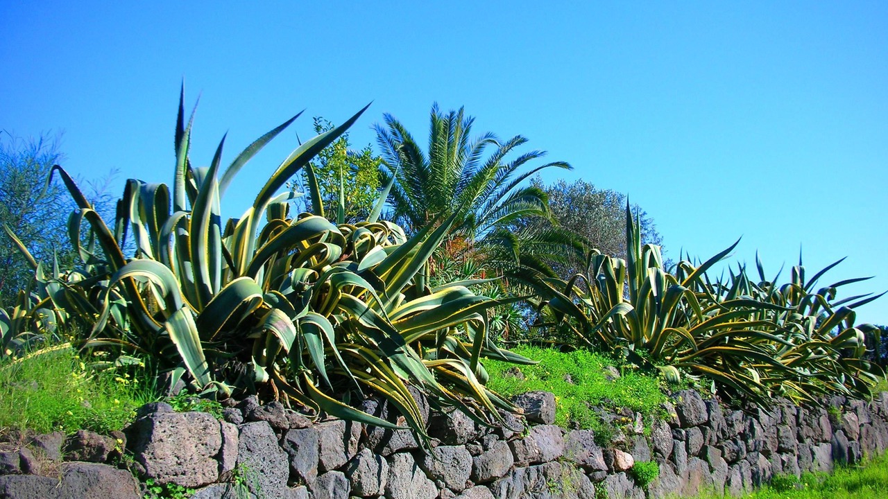 Photo of Others in Giardini Naxos