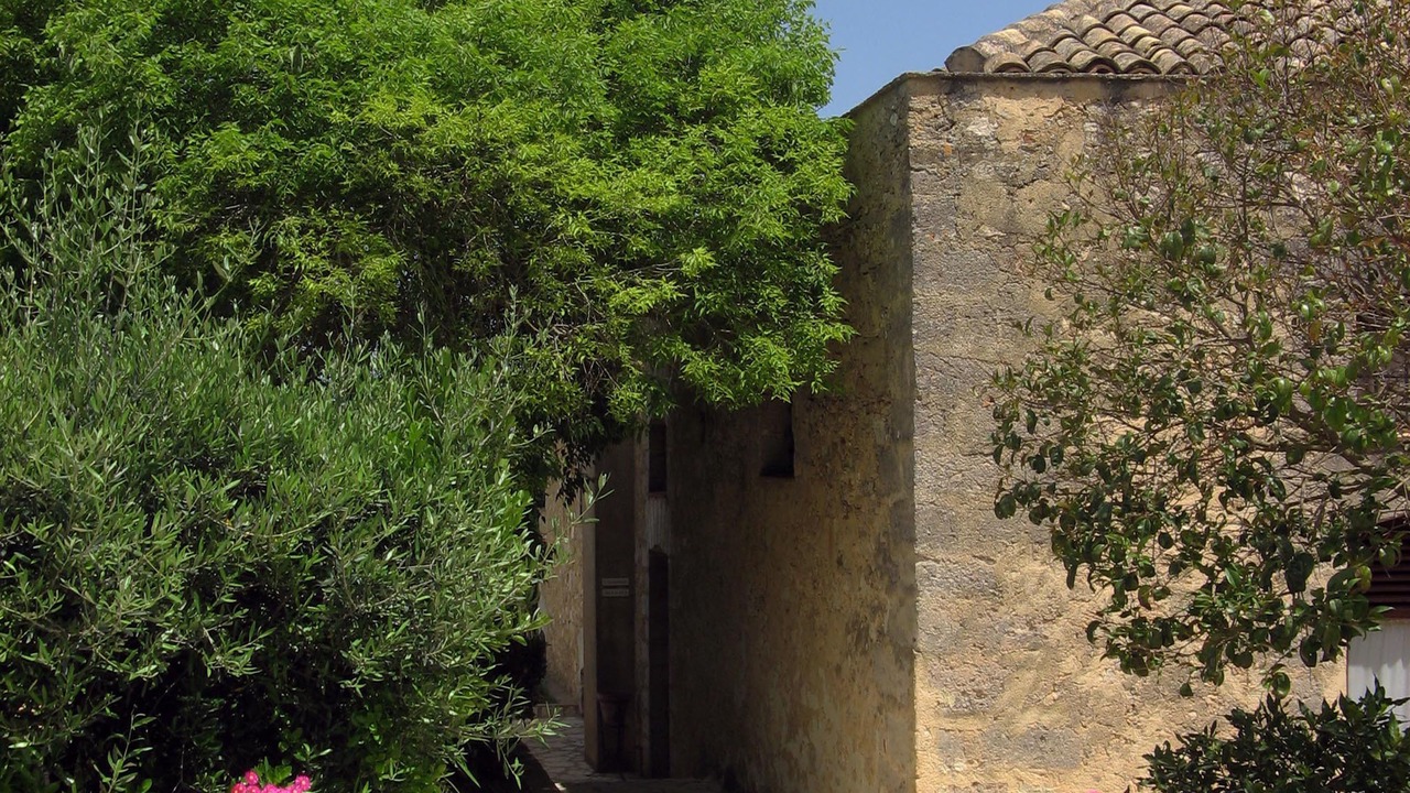 Photo of Outdoor in Paparella