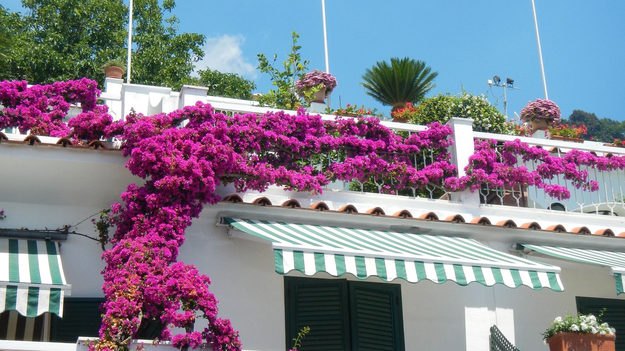 Photo of Outdoor in Pogerola