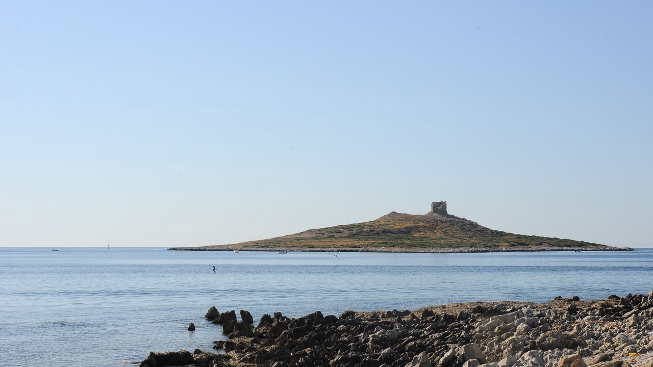 Photo of Others in Isola delle Femmine