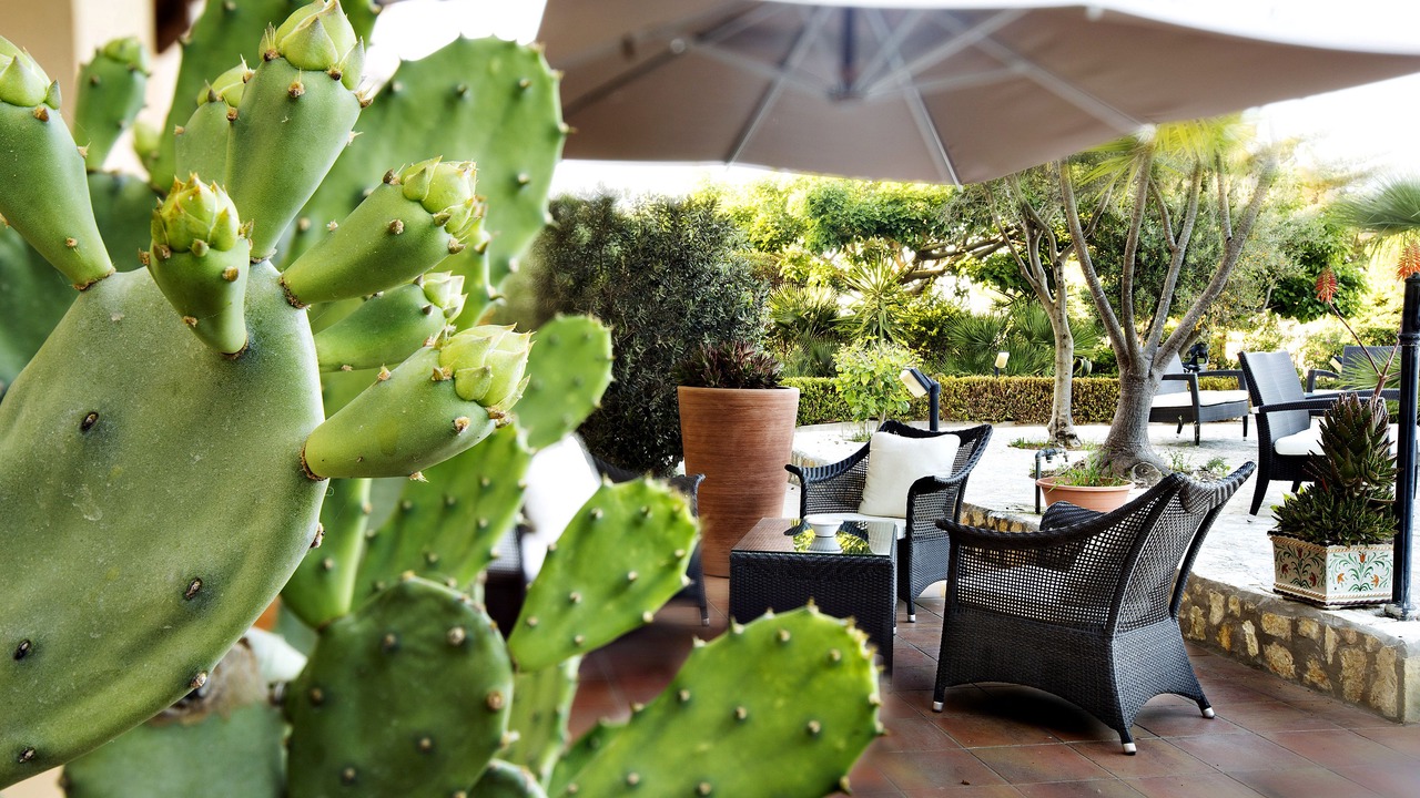 Photo of Outdoor in Favignana