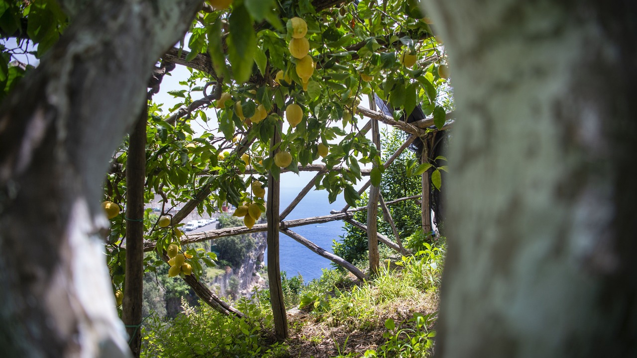 Photo of Outdoor in Pogerola