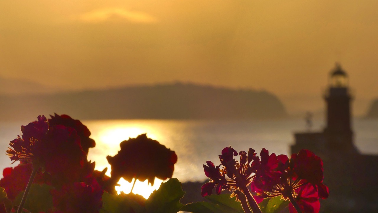 Photo of Outdoor in Ischia Porto