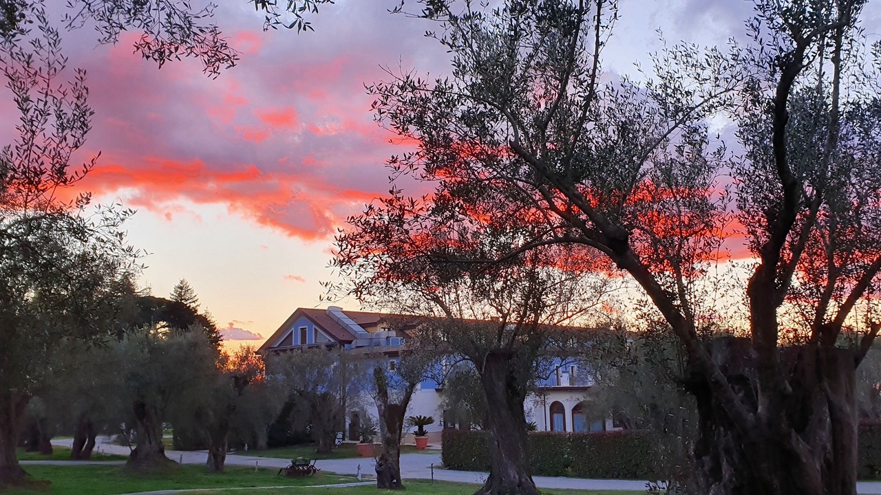 Photo of Outdoor in Cittanova