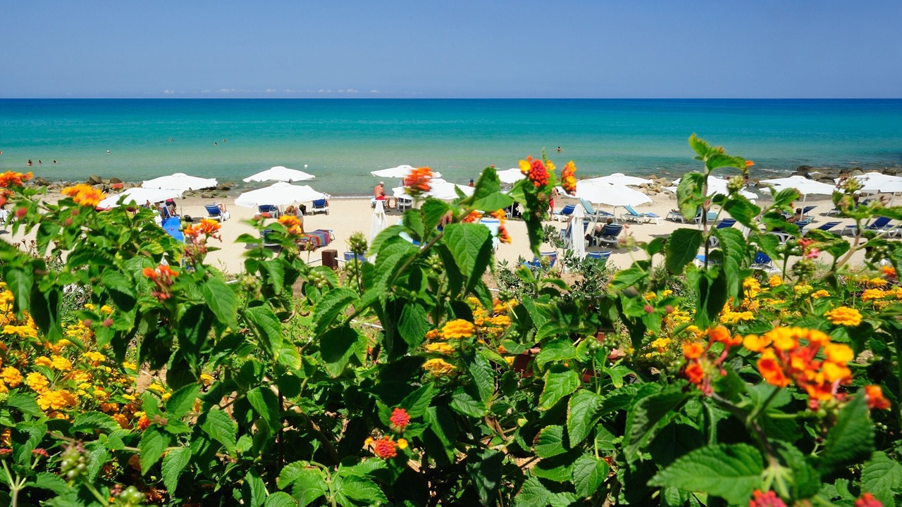 Photo of Others in Cefalu