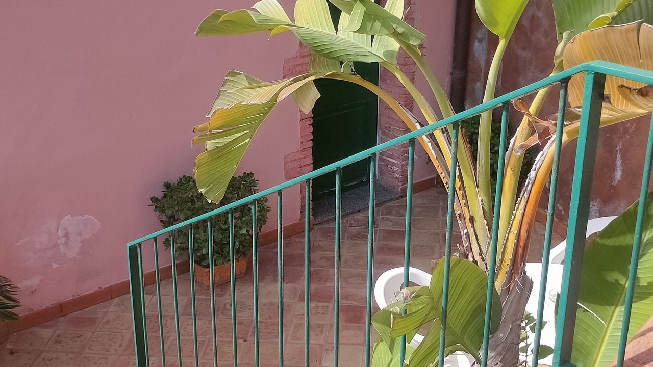 Photo of Outdoor in Mazzaro