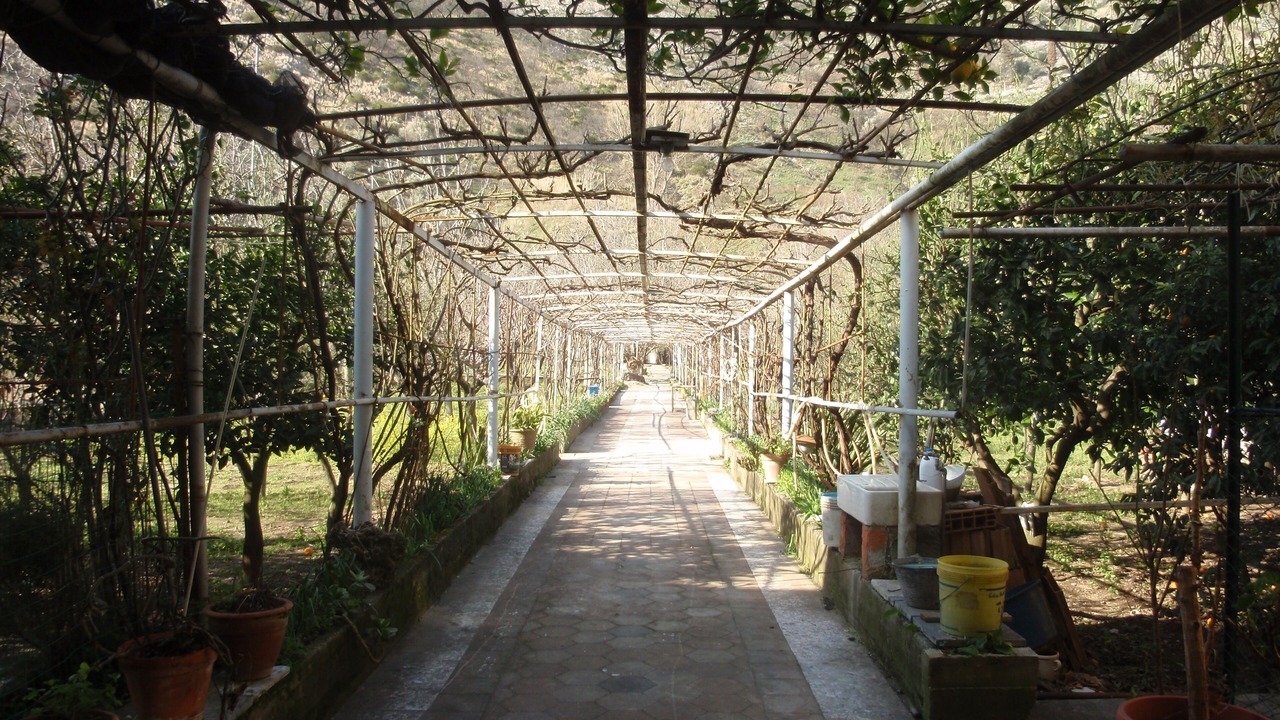 Photo of Outdoor in Lanzara