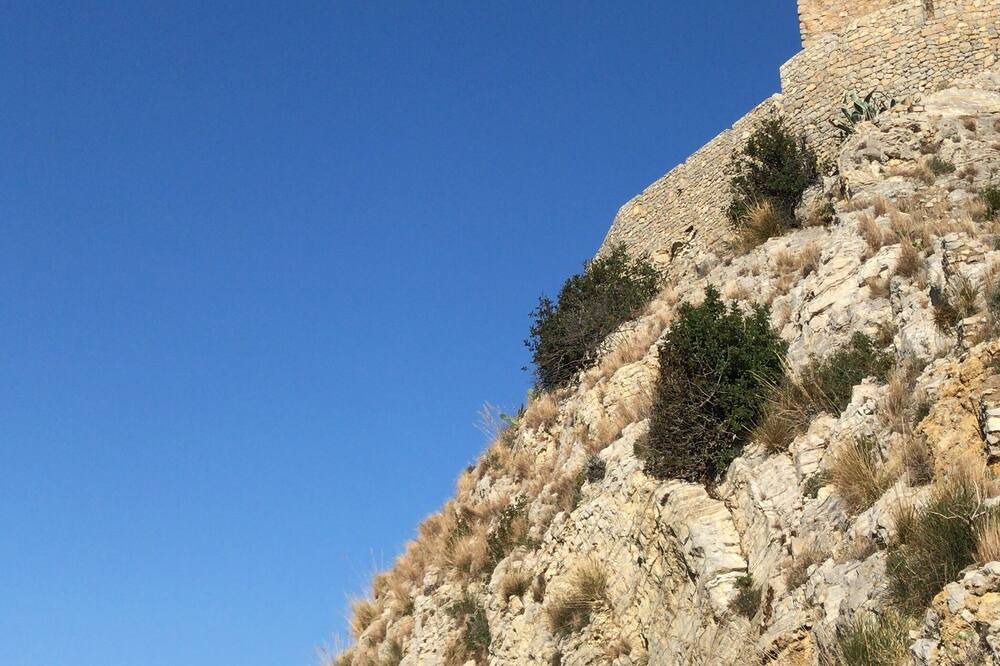 Photo of Others in Trabia