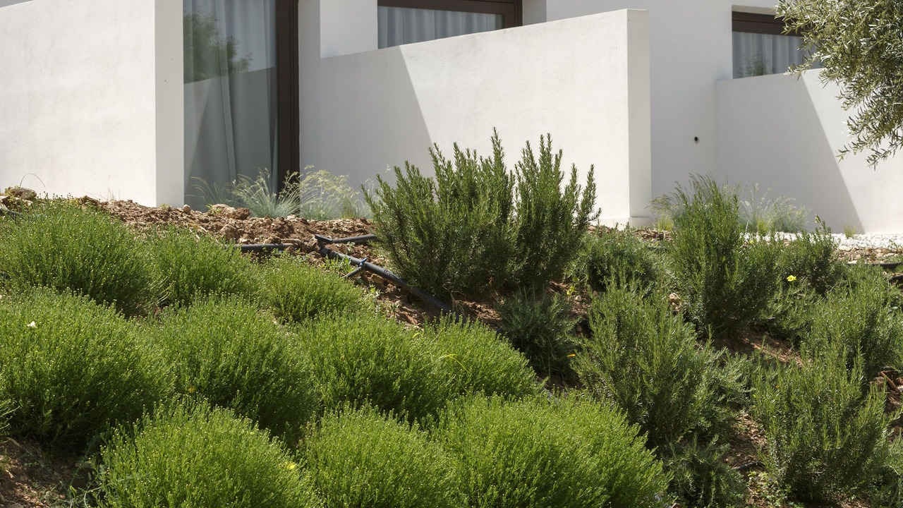 Photo of Outdoor in Chiaramonte Gulfi