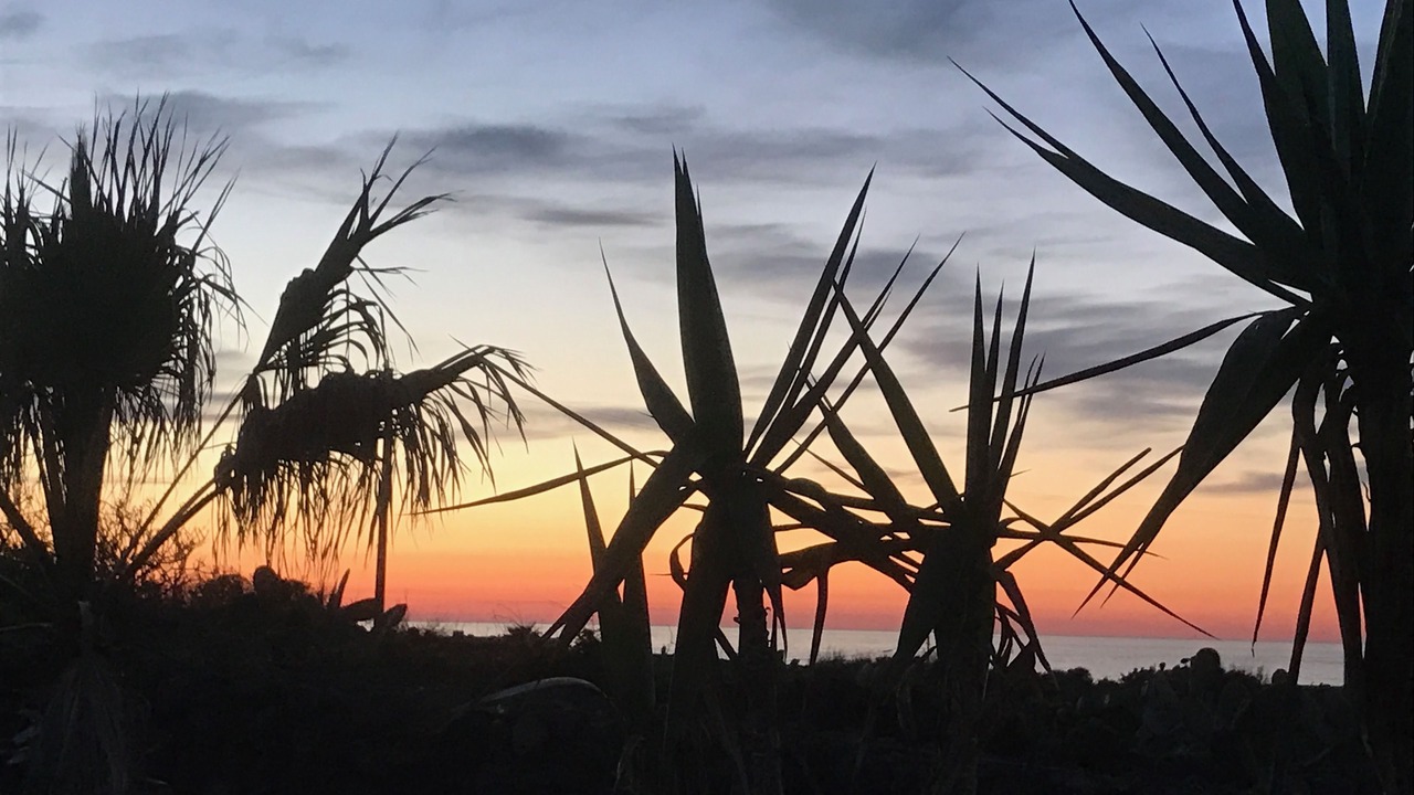 Photo of Others in Pantelleria