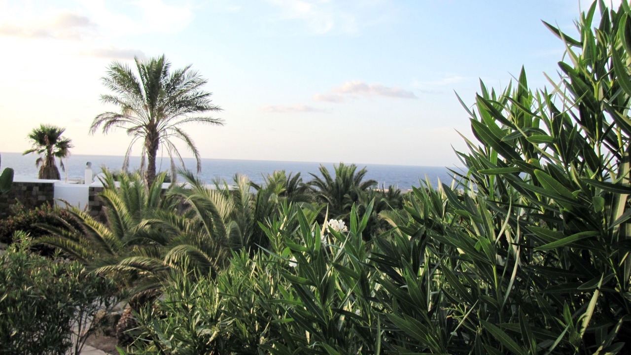 Photo of Others in Pantelleria