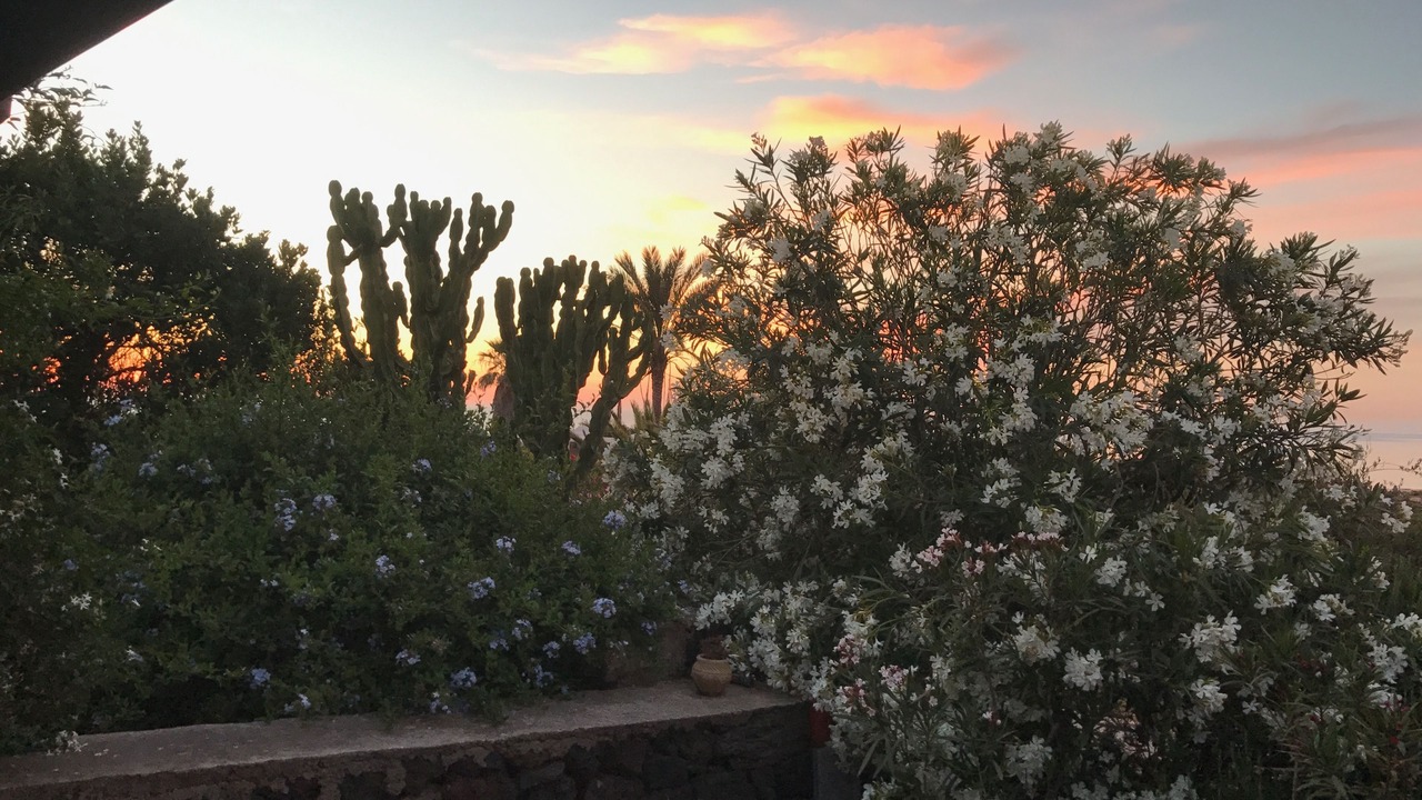 Photo of Others in Pantelleria