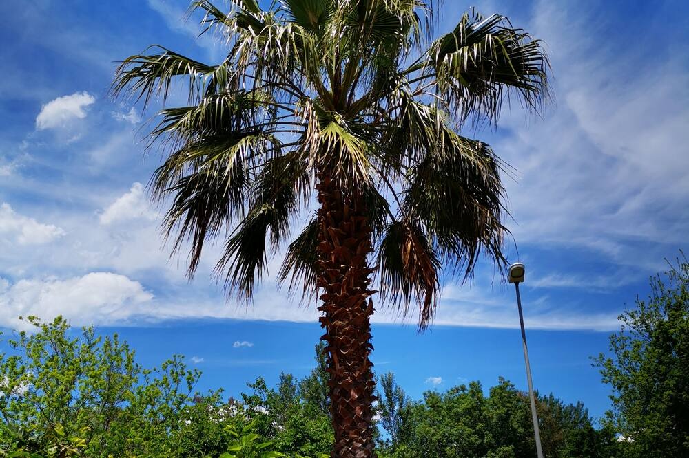 Photo of Outdoor in Mascali