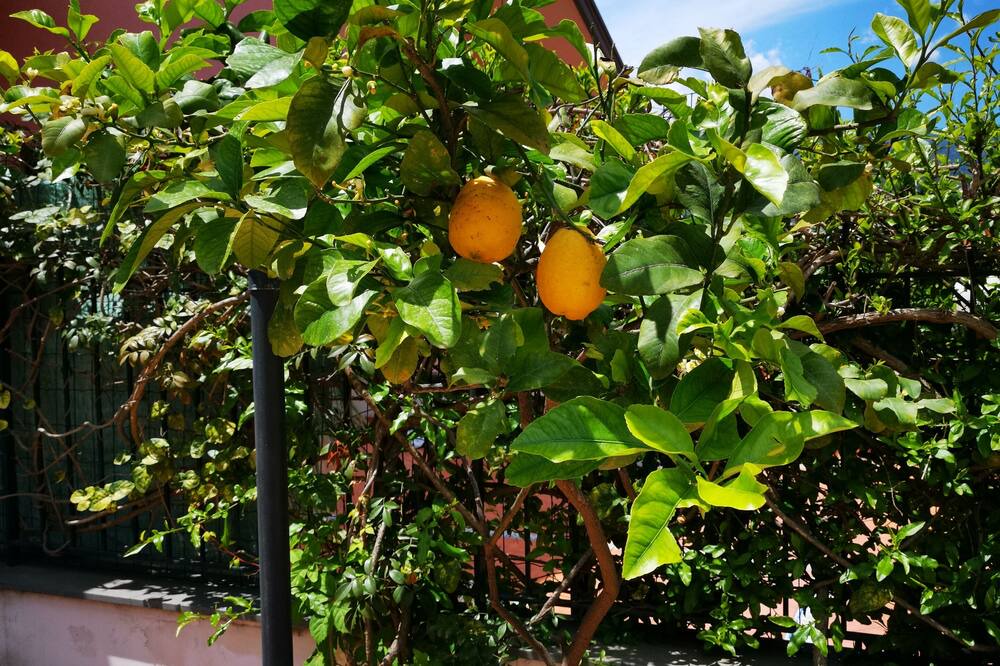 Photo of Outdoor in Mascali