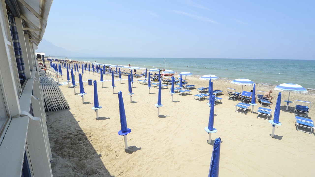 Photo of Others in Solfarelli