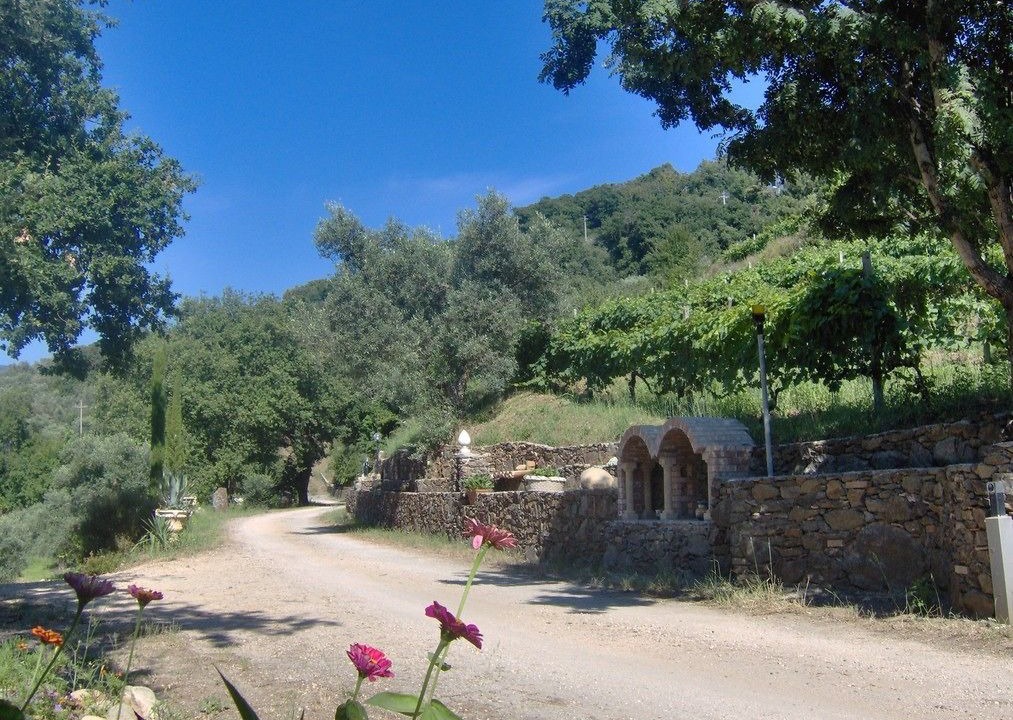 Photo of Others in Nocera Terinese