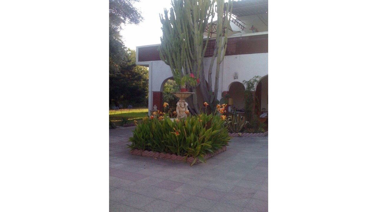 Photo of Outdoor in Calimera