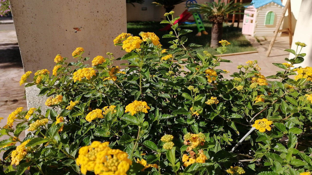 Photo of Outdoor in Presicce