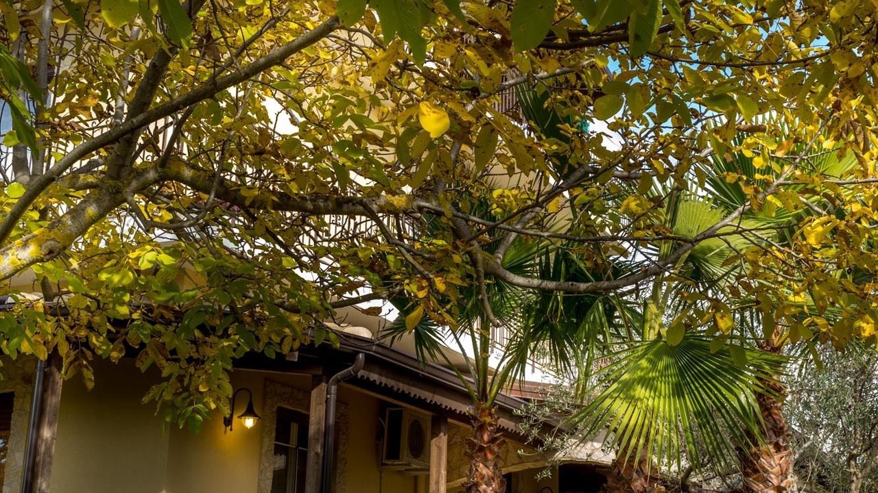 Photo of Outdoor in Nissoria